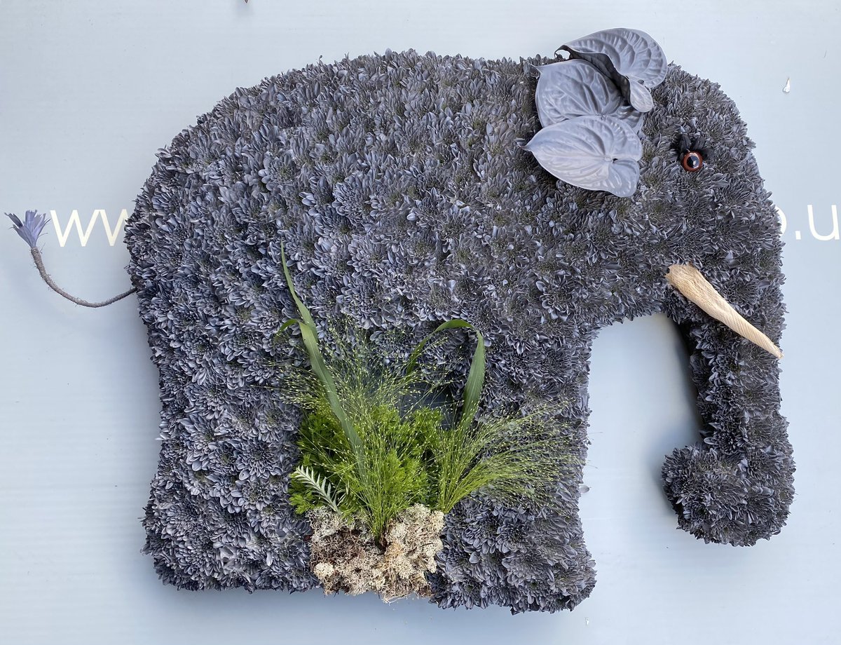 PLANTATION41's tweet image. Elephant Funeral tribute delivered this week!
#finaltribute #funeralflowers #elephanttributes