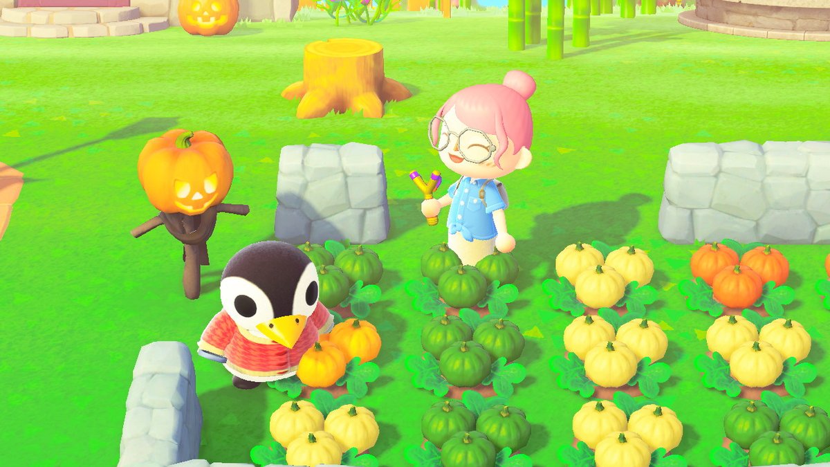オーロラちゃん、カボチャの観察してるのが畑の主にバレてしまう!www
#あつ森
#オーロラ https://t.co/mJXYwu83P7
