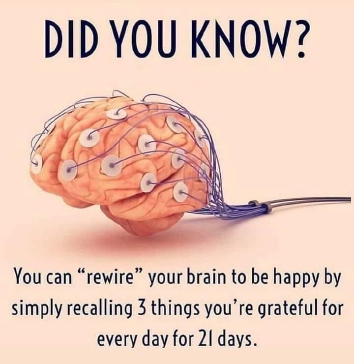 AdvisorsIreland's tweet image. I am not worried about the Pandemic. It’s a time to grow and come out of this with new skills. I am also not stupid to attend packed events #peterfa #DigitalMarketing #smartmarketing #salescourse #NewBusiness