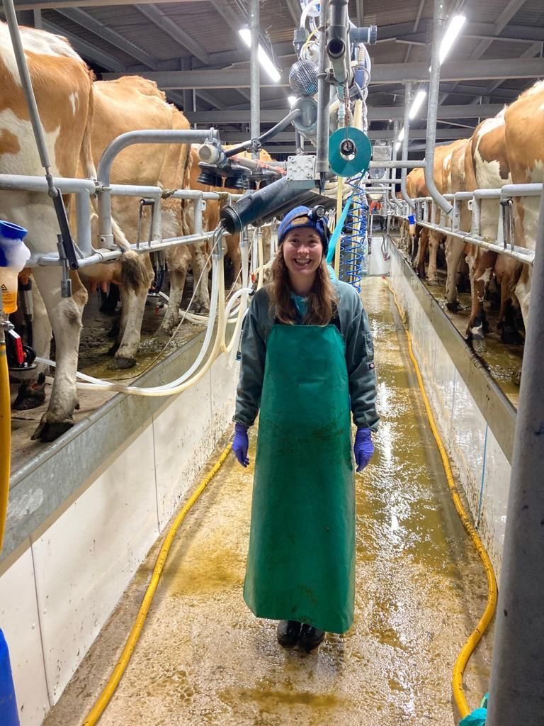 BrownCowOrganic's tweet photo. Day one back into the swing of things on the farm, up early to learn how to milk the cows in the brand new milking parlour, pressures on as Dad wants me to be milking 150 cows by the end of the week by myself! #NationalYoungFarmersWeek #WomanInFarming #farminglife https://t.co/YhfgIGCFJr