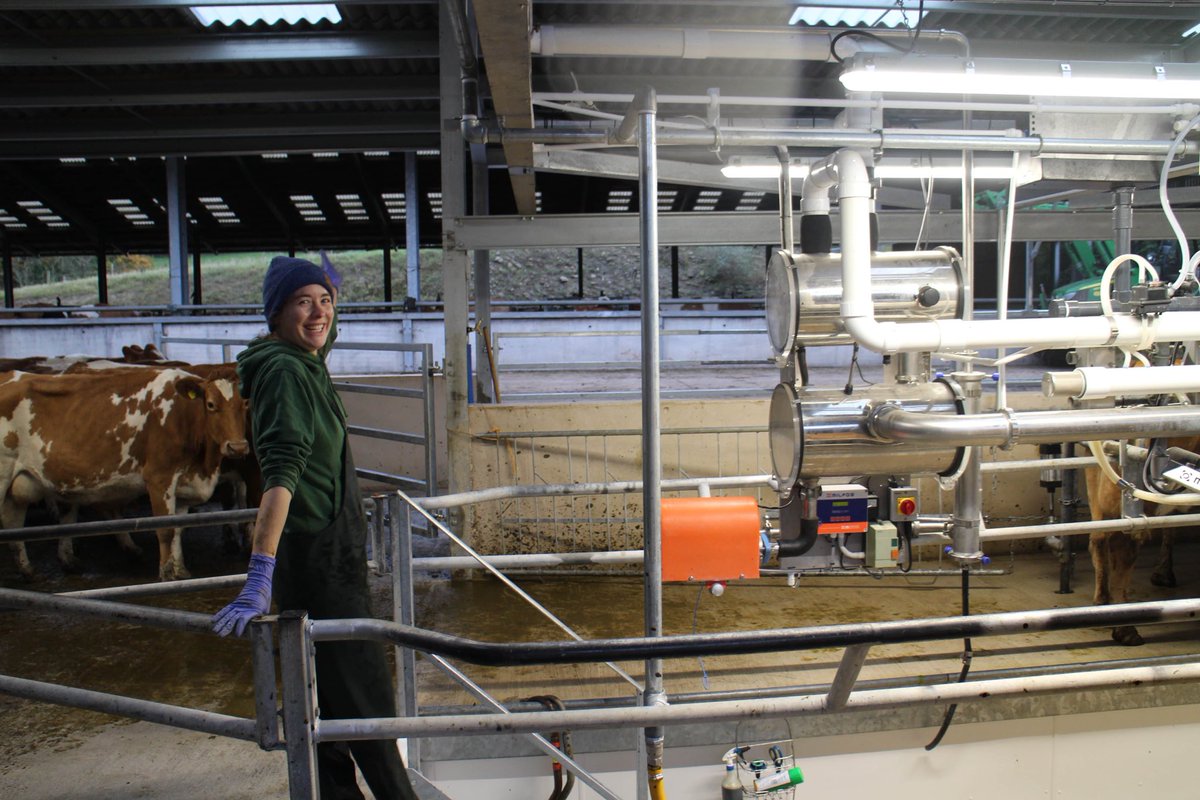 Day one back into the swing of things on the farm, up early to learn how to milk the cows in the brand new milking parlour, pressures on as Dad wants me to be milking 150 cows by the end of the week by myself!   #NationalYoungFarmersWeek #WomanInFarming #farminglife