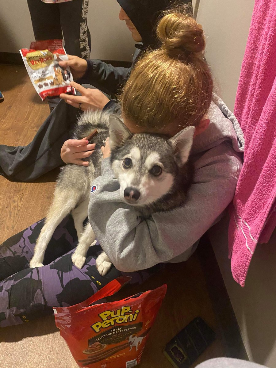 IStepFunny's tweet photo. ROCKY IS SAFE ♡ We can't thank Rescued Treasures enough for helping to track his location and set up traps for him.  He was trapped at 2:30am. We also thank @artisanchurch for letting us set up Rocky HQ here &amp; the community for helping us figure out his location! THANK YOU ♡♡ https://t.co/Jh1NBKdUFg
