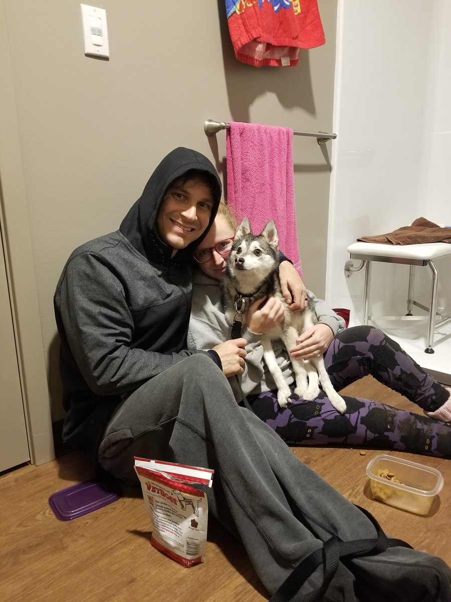 IStepFunny's tweet photo. ROCKY IS SAFE ♡ We can't thank Rescued Treasures enough for helping to track his location and set up traps for him.  He was trapped at 2:30am. We also thank @artisanchurch for letting us set up Rocky HQ here &amp; the community for helping us figure out his location! THANK YOU ♡♡ https://t.co/Jh1NBKdUFg