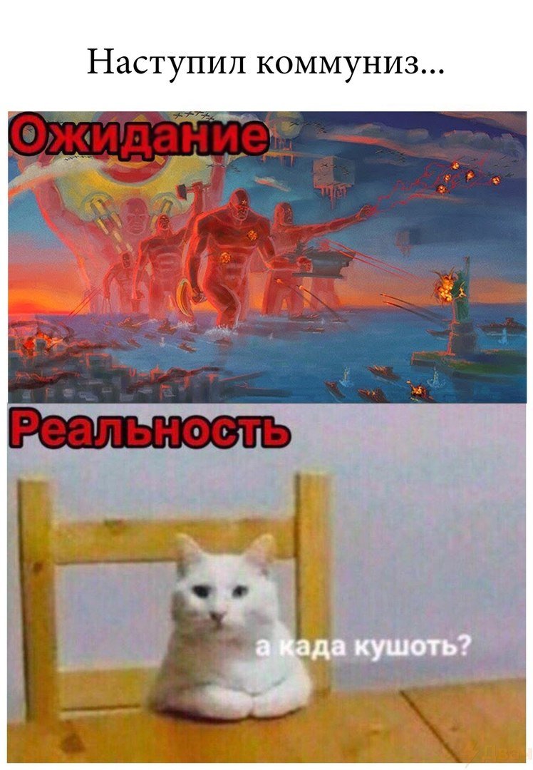 ElUkTO1WkAMco6z?format=jpg&name=medium