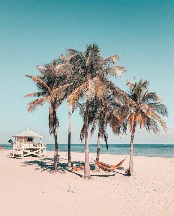 miami_feelings's tweet photo. Miami 📷 @360val #MiamiFeelings | The Best Photos and Videos of Miami &amp; Florida. #miami #florida #miamifeelings https://t.co/H1nzl5TJUd