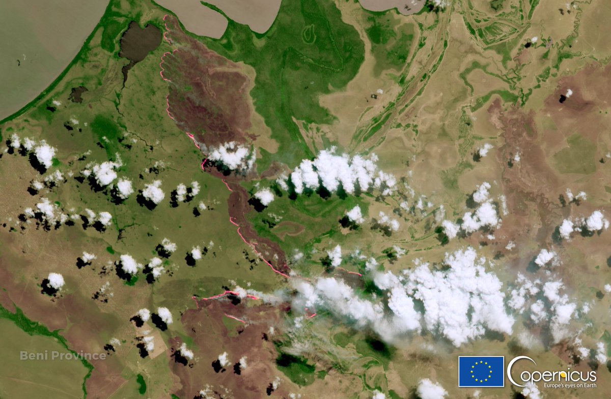 defis_eu's tweet photo. #EUSpace for #EcosystemsInDanger

Experts say the wildfires that span across South America  in 2020 have become critical

⬇️@CopernicusEU #Sentinel2 🇪🇺🛰️ image acquired two days ago over the ongoing #wildfires in Beni Province, #Bolivia 🇧🇴 https://t.co/omB6NmxGJV