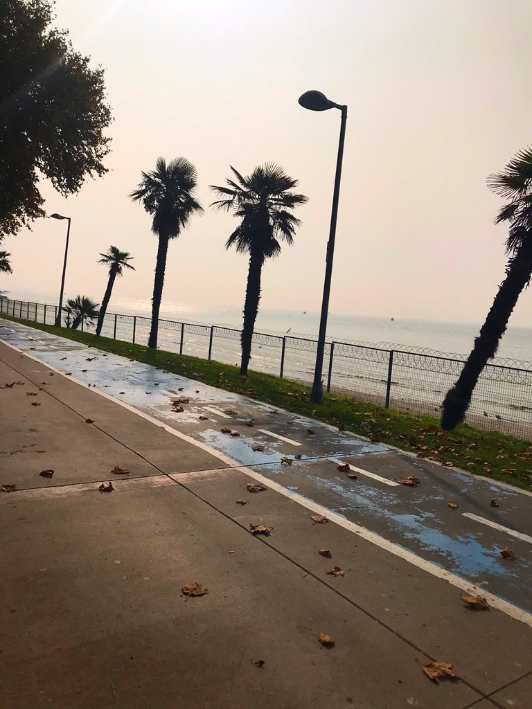 eesrayigitt's tweet photo. Sabahın ilk saatlerini şöyle değerlendirmenin hissetiklerini 25 yaşımda keşfettim.Üzücü. https://t.co/lUIFft3HHT