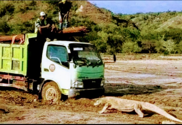 DUNGU KOK KEBANGETAN ! MAU BIKIN JURASSIC PARK ? YANG PUNYA IDE KETAUAN GA PERNAH NONTON FILMNYA, GAYA2 AN DOANG BIAR DIKATA KEREN ! FILM JURASSIC PARK JUSTRU BERUSAHA MENYADARKAN ORANG AGAR JANGAN PUNYA IDE NGAWUR HABITAT HEWAN DIJADIKAN TONTONAN ! APALAGI HEWAN TERANCAM PUNAH !