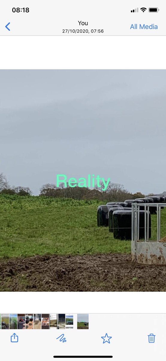 lack79's tweet photo. Expectation vs reality ... 🤷‍♂️ #farming365 #kalefail #outwintering #betternextyear https://t.co/ccZb0iVaRB