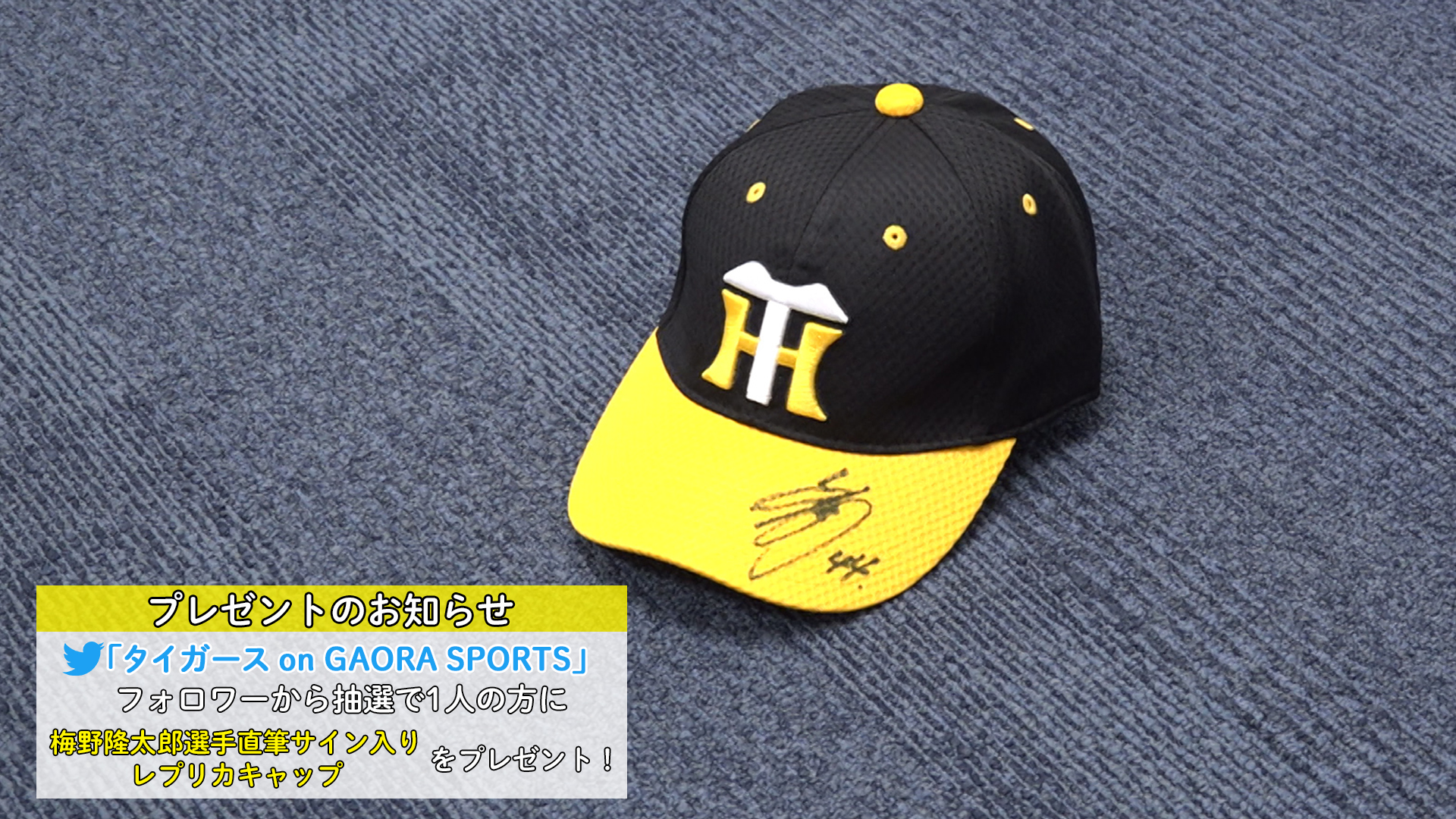 タイガース on GAORA SPORTS (@gaora_tigers) / Twitter
