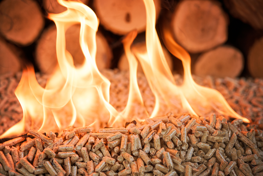 BioenergyInfo's tweet photo. Renova to develop 75 MW biomass plant in Japan: https://t.co/son49I75ac #woodpellets #palmkernelshells #biomass #bioenergy https://t.co/nuXR90g4tX
