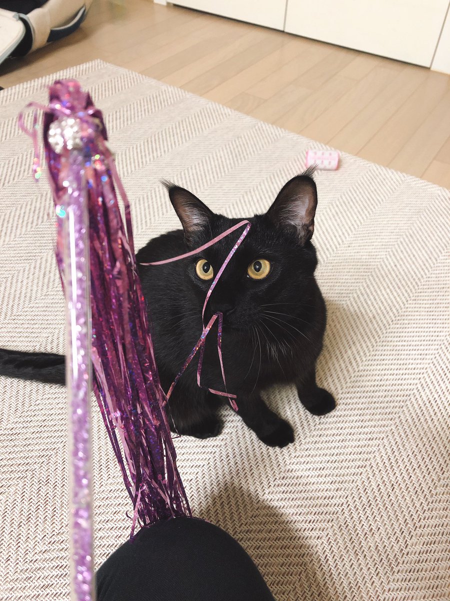 새치 (@koostav) on Twitter photo 