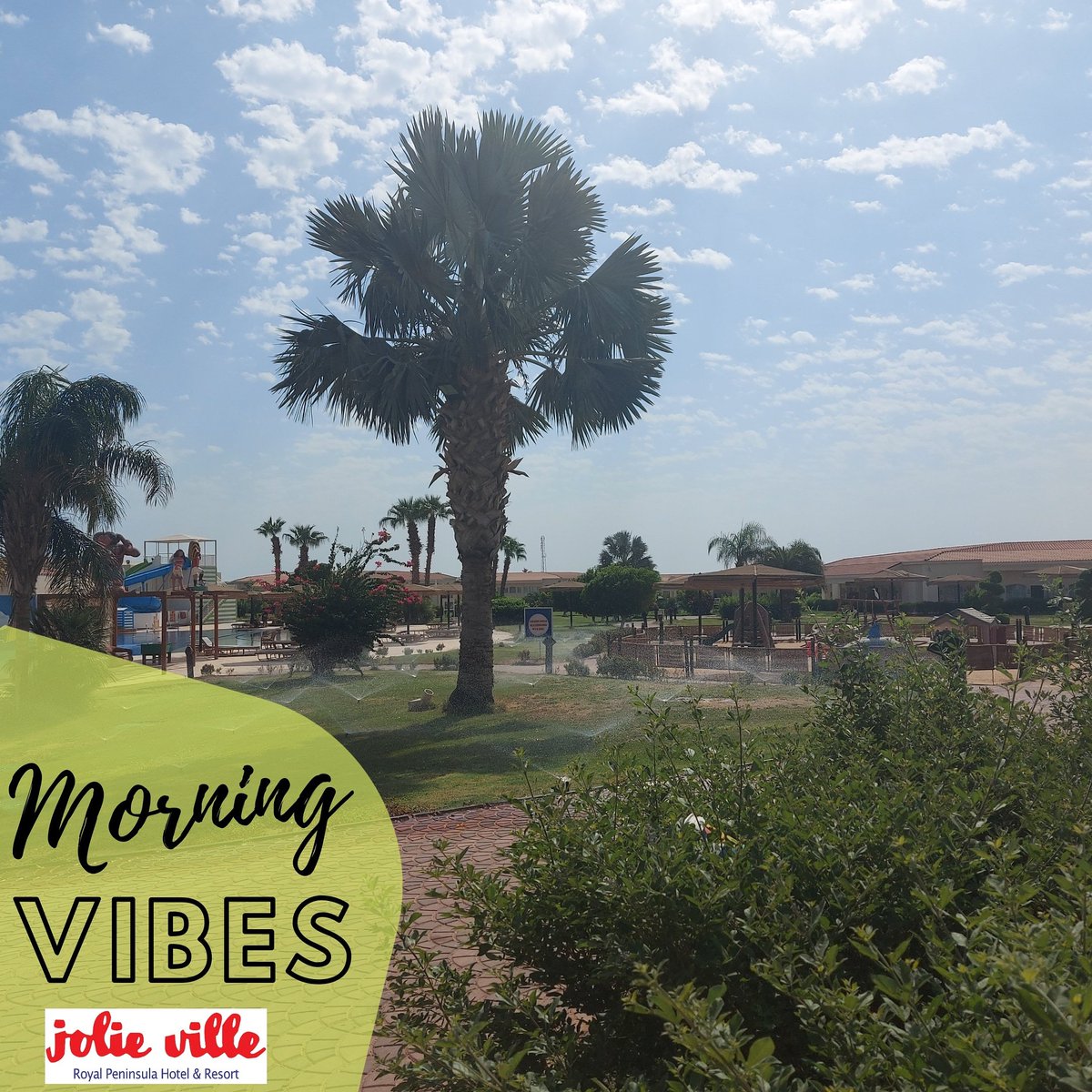 royalpeninsula's tweet photo. Enjoy a charming morning at #RoyalPeninsula hotel 🌼🌻🌞

For Reservations:
Email: reservation@jolievillepeninsula.com 
WhatsApp: +201212333845

#royalpeninsulahotel #goodvibes #jolieville #sharmelsheikh #Egypt #morning #morningmotivation https://t.co/xJHdc7ULiE