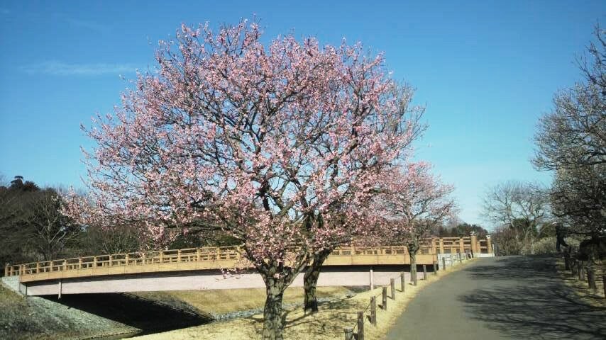 sembakooen's tweet photo. 2011年03月09日 https://t.co/QrQbiEJSXP