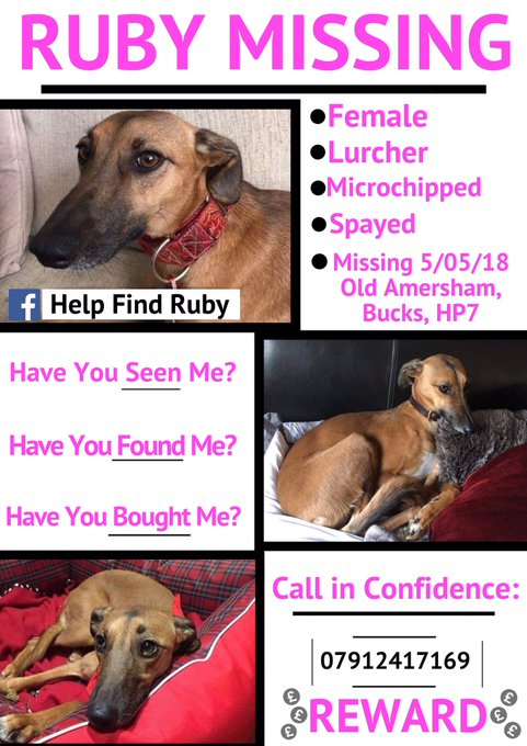 IanRich65622267's tweet image. #rubystillmissing #Covid19UK #starmer #victoriaderbyshire #cleese