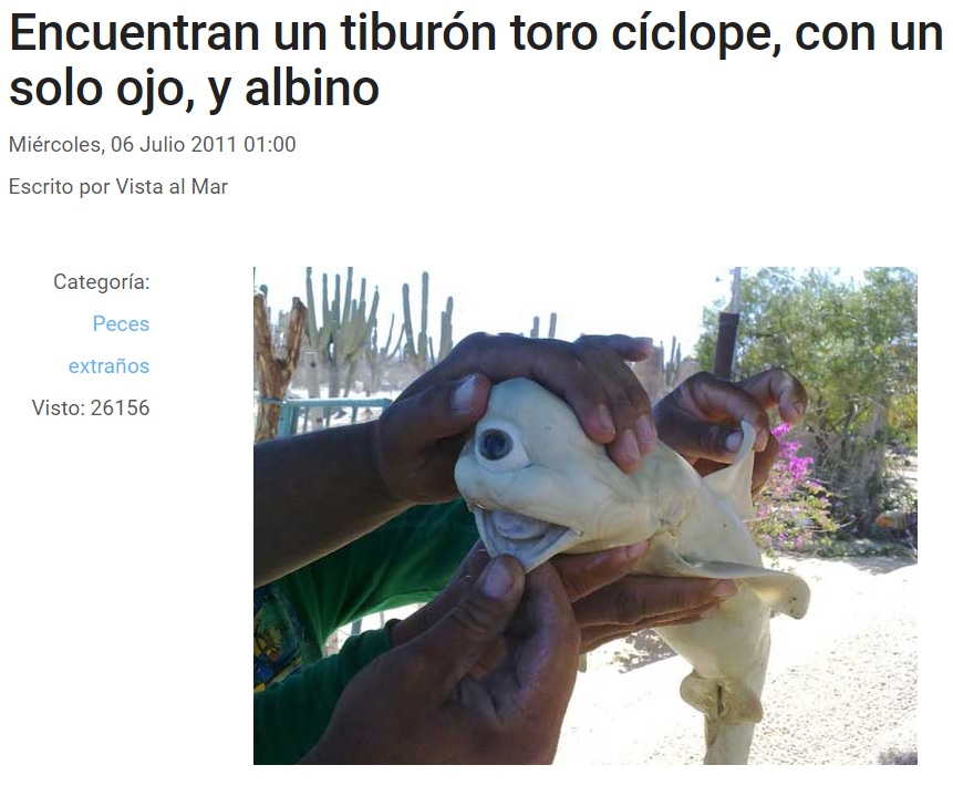 SuperFalete's tweet photo. Te quiero, tiburón Mike Wazowski. https://t.co/XQlSNM9OF9