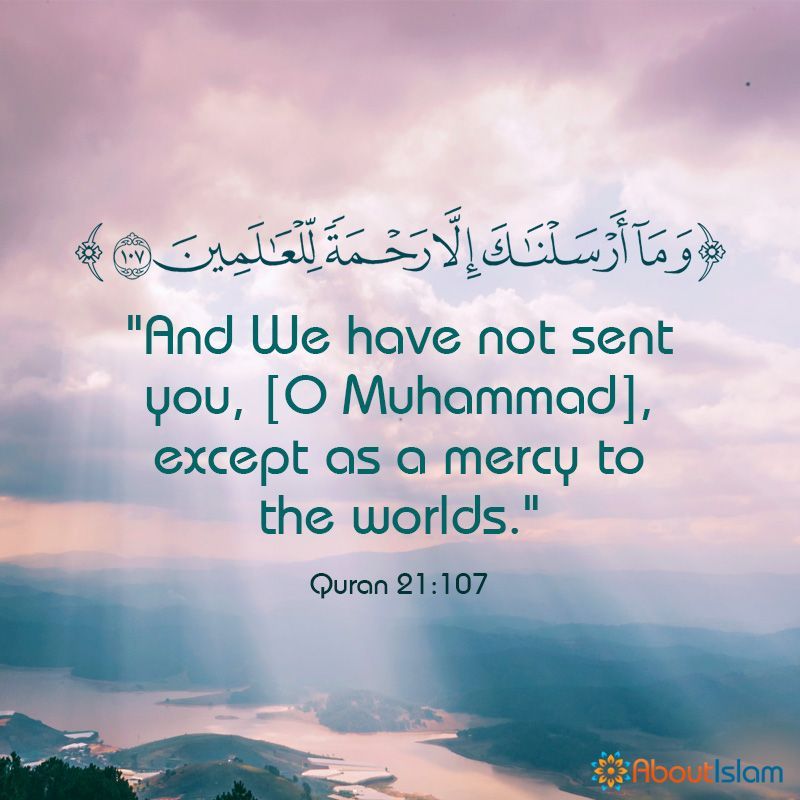 And we have not sent you ( O Muhammed ) except a  mercy to the worlds.
