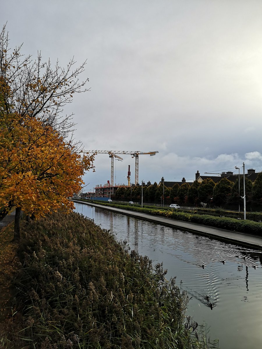 EmmaFillum's tweet image. Grand Canal looking good this morning... #circularline
@lukemcmanus 😉