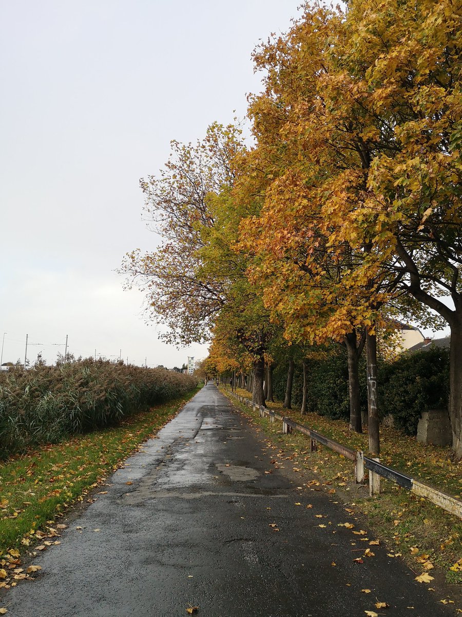 EmmaFillum's tweet image. Grand Canal looking good this morning... #circularline
@lukemcmanus 😉