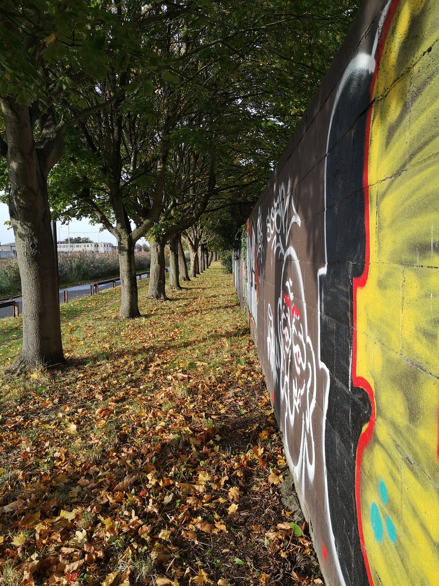 EmmaFillum's tweet image. Grand Canal looking good this morning... #circularline
@lukemcmanus 😉