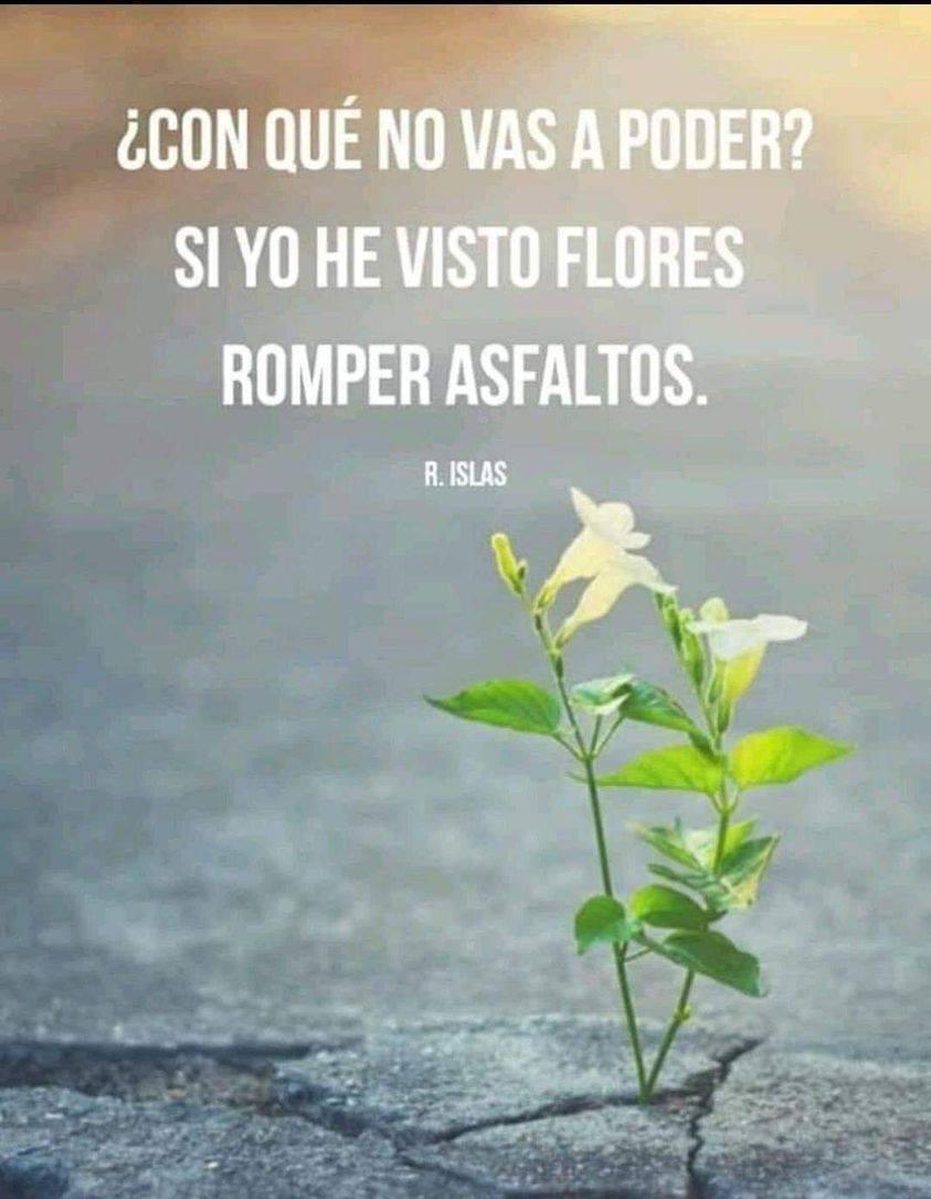 OpositaT's tweet photo. Ánimo a tod@s en estos tiempos tan duros. Paciencia y constancia. #Romanoseconstruyoenundia https://t.co/HdBY7p2eU8