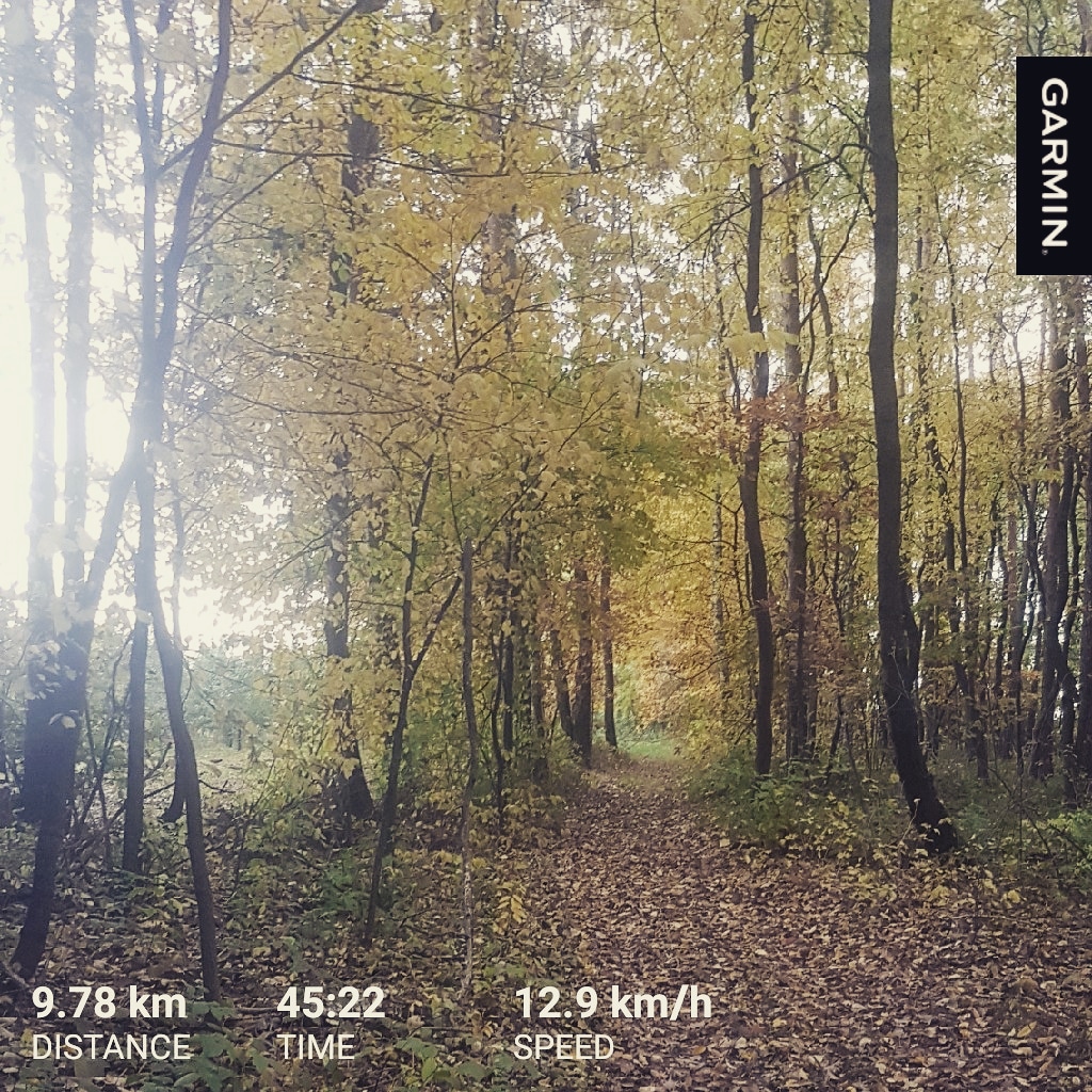 Endurance Trip (@EnduranceTrip) / Posts / X