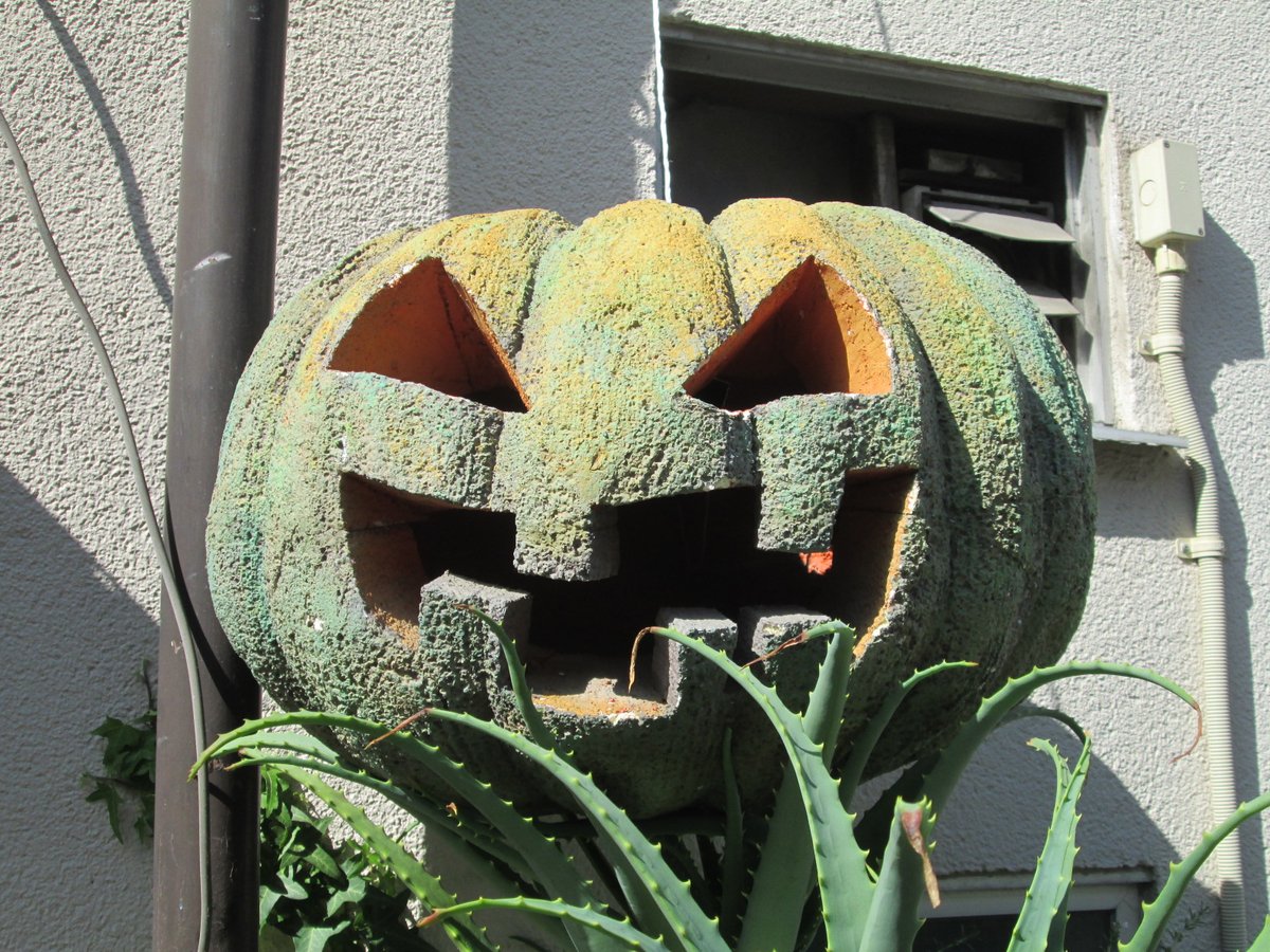 大阪散歩・森ノ宮
『ハロウィンかぼちゃ』
路地裏で見かけたこのオブジェ…
かぼちゃをくり抜いたものでは無さそうですが、大作でした🙂 https://t.co/haQiz9h32X