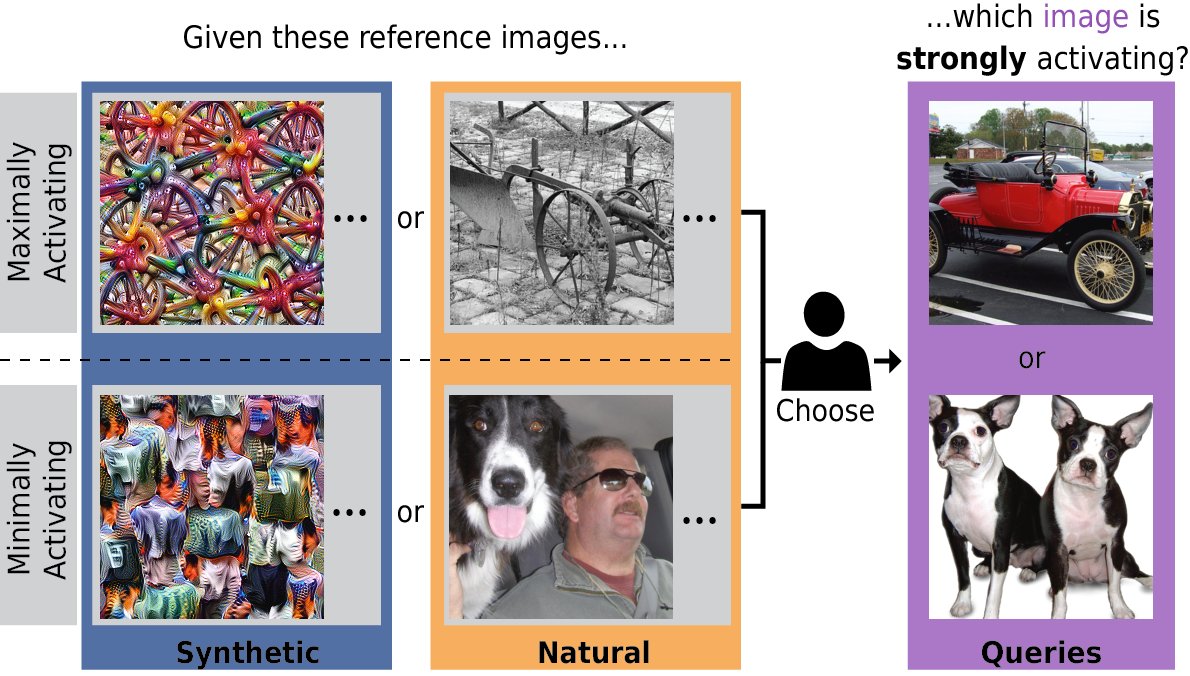 In our well-controlled human psychophysical experiments, participants are given extremely activating reference images (synthetic or natural) and choose which out of two query images is also a strongly activating image. (2/N)
