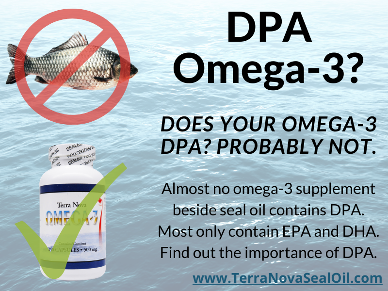 OilTerra's tweet photo. Seal Oil is a superior product for omega-3 than fish oil or plant-based oils. Plant-based omega-3 comes from ALA, a type of Omega-3 that must be first converted to DHA and EPA (only 10%) in order to be used by the body. Fish oil can come from unknown sources and doesn't have DPA! https://t.co/o1tI422JuV