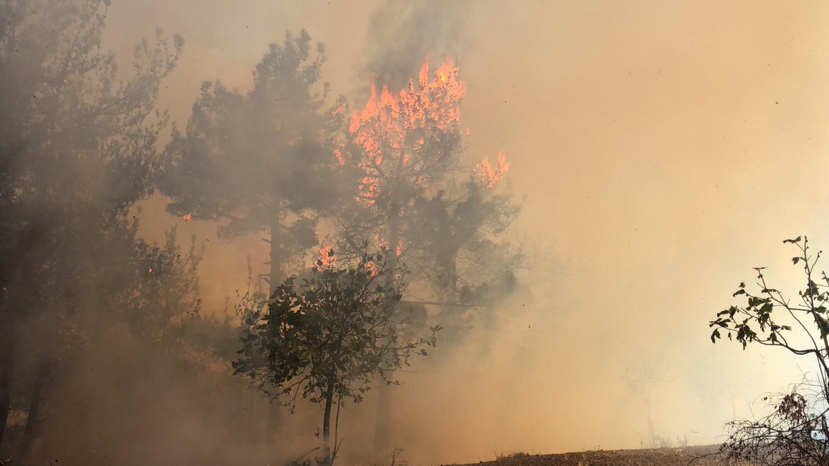 ihacomtr's tweet photo. Hatay'daki yangında annenin 'Çocuklarımı çıkarın' feryadı
https://t.co/d37WmNwFMP https://t.co/42sVTn1D54