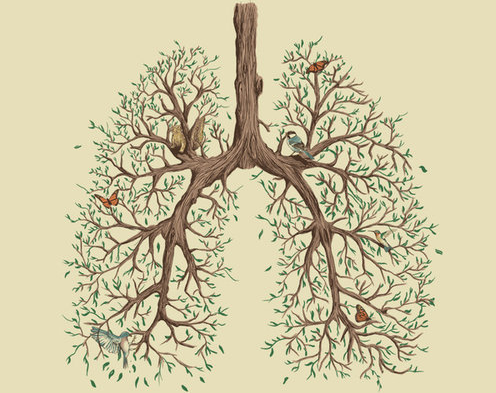 AcupunctureAmanda tweet media