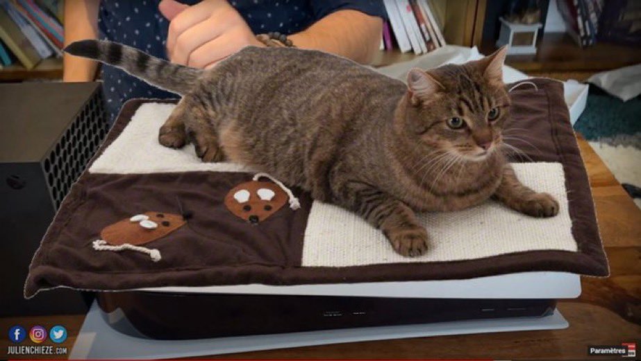 ElV0oWNXYAIM5a1?format=jpg&name=medium