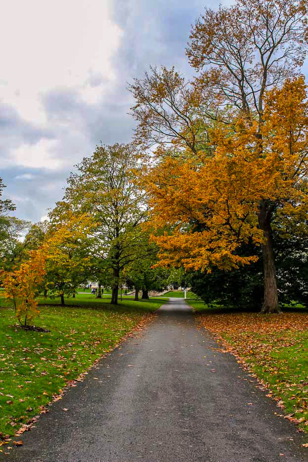 ilandedhere's tweet photo. Taken totally over by the fall @kewgardens
Explore more on https://t.co/sF1KxN5O1P
#ilandedhere #kewgardens #fall #autumnfalls #autumnvibes #autumnleaves #landscape #landscapephotography #travel #travelblogger #travelphotography #visitlondon #londontravel https://t.co/P4CbGZNsn0
