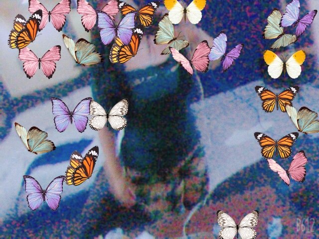 SandyReynoso11's tweet photo. https://t.co/EpxM6EYcaU