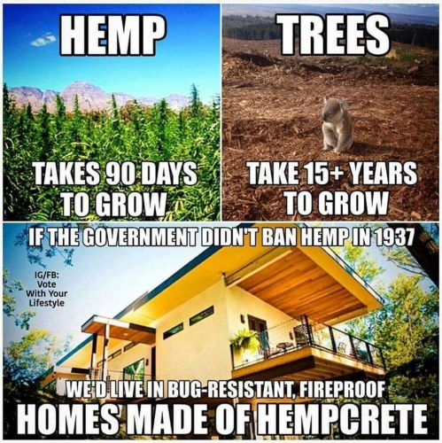 We could instead build our houses out of product like Hempcrete, wood would still be needed but in far smaller capacity