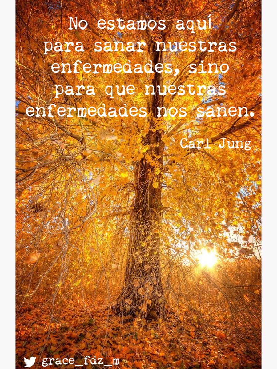 grace_fdz_m's tweet photo. Bendiciones!🧡 https://t.co/8ZMqpz3tfv