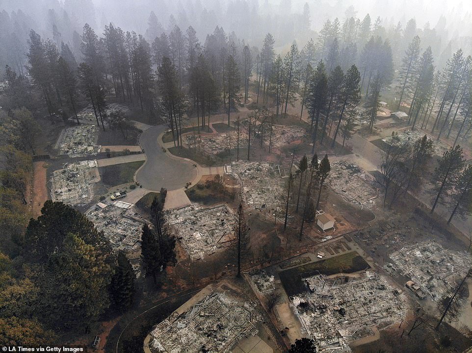 By clearing underbrush we no longer have to fear of massive fire outbreaks as 20+ year old trees are much harder to burn. hence the photos everyone likes to blame DEW's on.