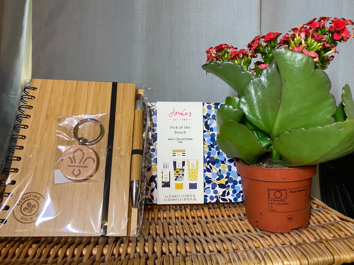 Ahh just had a socially distanced visit from a Beaver who has moved on to Cubs over lock down, our last meeting was the night we got the dreaded email stopping Scouting. Just wanted to say thanks and tell me all of his favourite adventures