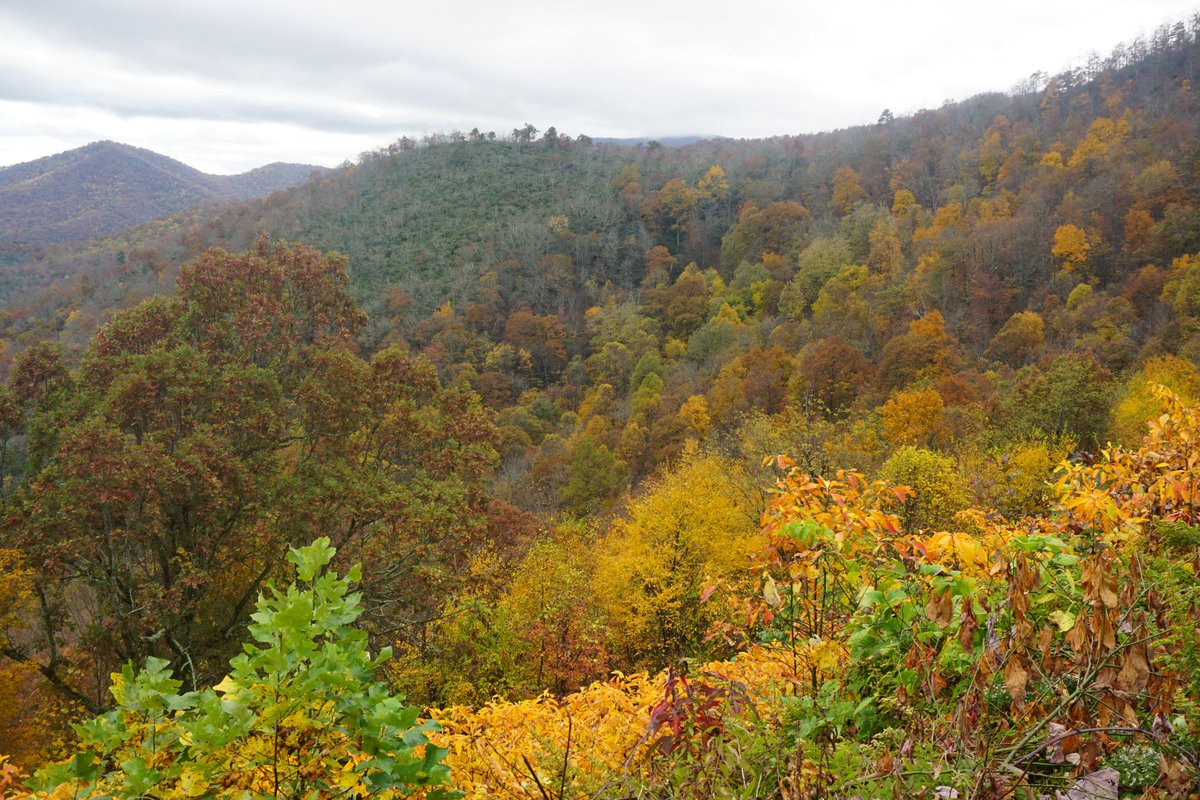 I took some pictures of the beautiful fall colors from the Blue Ridge Parkway. #Fall #BluerRidgeParkway #NorthCarolina
