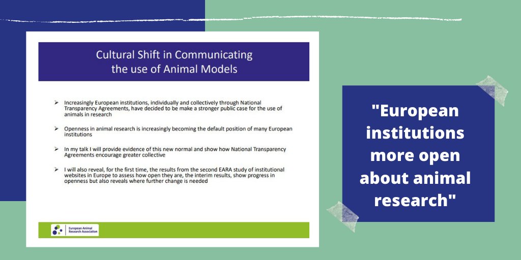 The_EARA's tweet photo. Speaking at the #TT2020VIRTUAL @ISTT_TG, @kirk_EARA, #EARA Executive Director, highlights the cultural shift in communicating #animalresearch, and how institutions in Europe are becoming more open and transparent about this topic @EARA_ES @EARA_PT @EARA_BE https://t.co/QAEgrlwV34