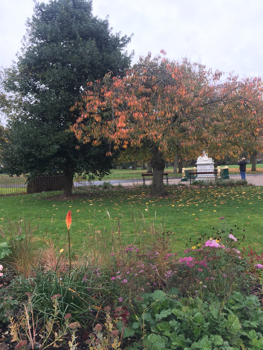 TimeBallHull's tweet photo. Despite the weather, our Community Learning Officer had a lovely time this morning (in her wellies) giving out our free maritime craft packs with support from the @pearsonparknlhf Community Ranger. Just look at those autumn colours! #freecraftpacks #familycrafts #halftermcrafts https://t.co/R8T8LUcQni