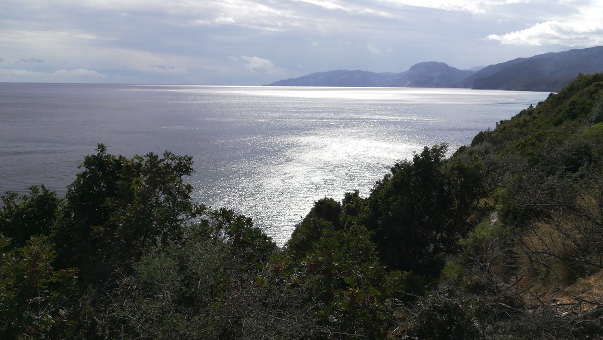 Il corpo è a casa
Ma il cuore è nel vento
Dove le nuvole sono titoli
In un cielo prima pagina

        Le mie lacrime acqua salata.

    T.Waits

#ComeNuvoleNellAria su #VentagliDiParole

Golfo di Orosei