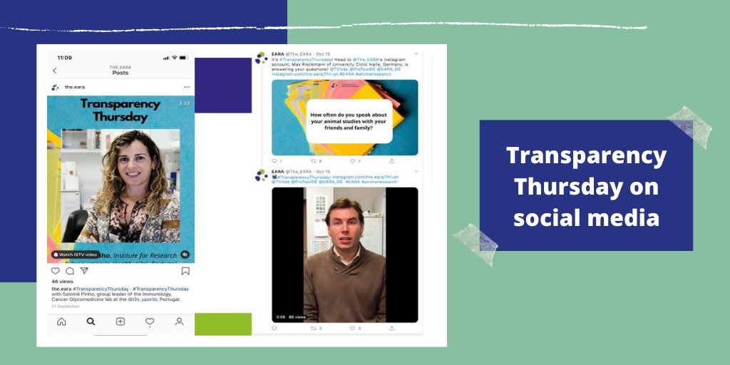 The_EARA's tweet photo. #EARA Executive Director @kirk_EARA highlights the #TransparencyThursday, an initiative where scientists answer questions from the public about their #animalresearch.
📢Next guest is Jocelien Olivier of @univgroningen, Netherlands, this Thursday #TT2020VIRTUAL @ISTT_TG @EARA_NED https://t.co/xJCz8OJOl9