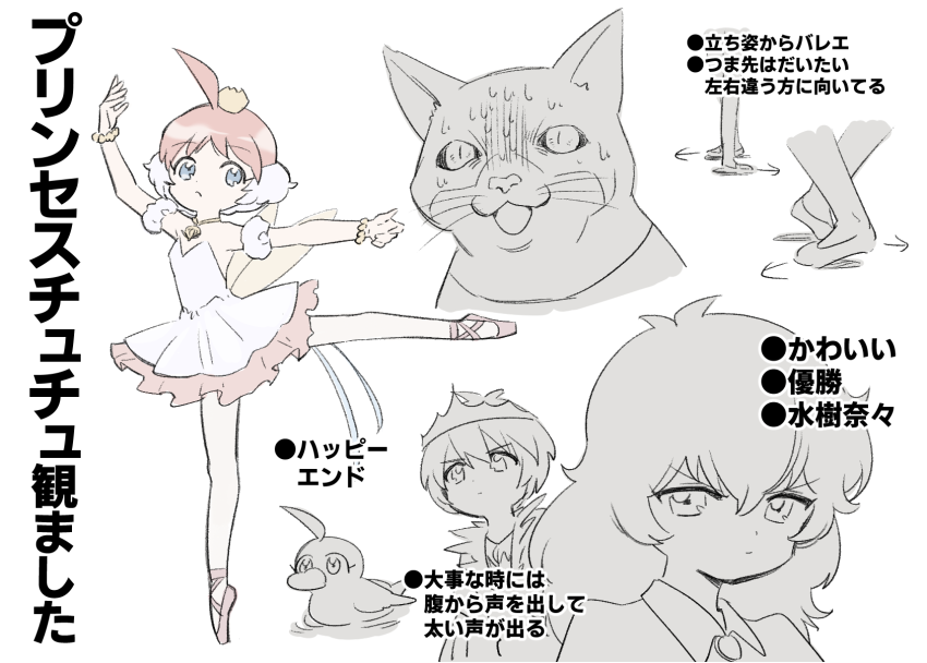 プリンセスチュチュ完走しました
バレエモチーフなだけあってみんな動きが優雅だし会話してる時も足元がバレエのポジションだったりするので「5番をキープしたまま会話を…!?」みたいな驚きがある
BGMがクラシック音楽というのもあり最終決戦めちゃくちゃ盛り上がって豪華で良かったです