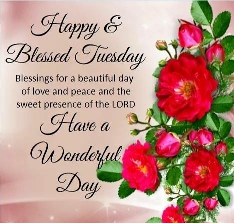 ClubChosen's tweet photo. 💐💐💐
#iamchosen #mitchellsplain #capetown #InGodWeTrust https://t.co/7MuPEibE1L