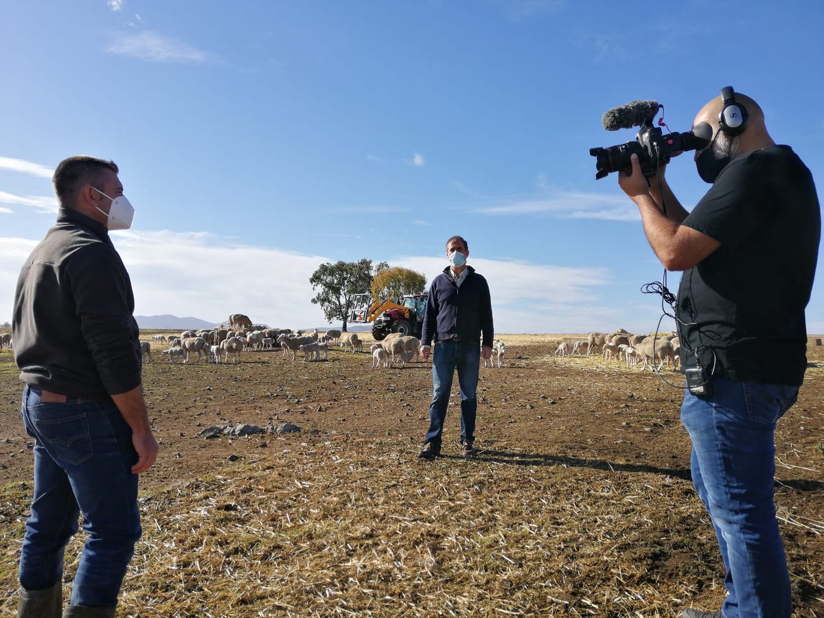 Los amigos de @LaBesana_cex están grabando un reportaje sobre #CorderoOrganic que se emitirá en noviembre en este programa, que es el referente del sector agrario extremeño. 

📺Gracias a <a href="/cextremadura/">Canal Extremadura</a> por hacerse eco sobre la producción y comercialización del cordero ecológico