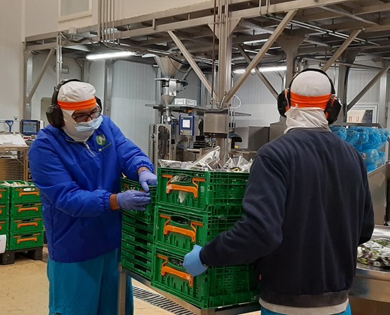 ProyectoHabilis's tweet photo. Desde UFE de Güímar @ProyectoHabilis continuamos formando para #empleo. Alumnado comienza las prácticas de envasado de alimentos en diversas empresas, entre ellas fábrica de Mesturados Canarios @ProyectoHabilis @CabildoTenerife #CercaDeTi https://t.co/WBwKCe9AXC