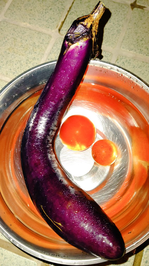 つくし 多肉植物垢 23 V Twitter 畑の手入れしてる時に収穫した長茄子とトマト少し 茄子は下の方にあってまったく気づかなかった 笑 何のおかずに使おうかな トマトは今日のサラダに入れます 家庭菜園 長茄子 中玉フルーツトマト