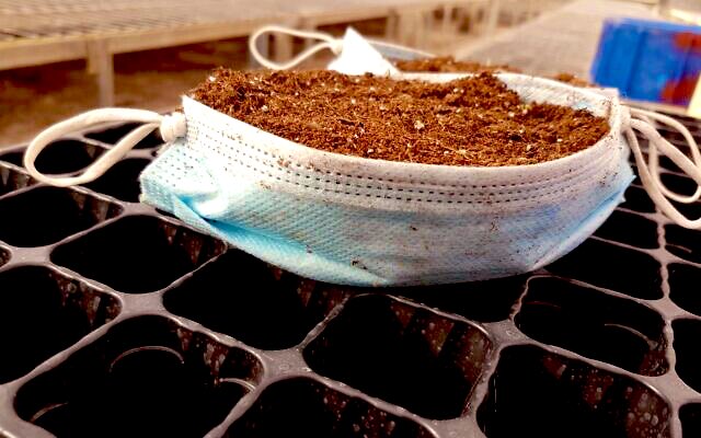 #PSA: Discarded masks are the perfect vessels for growing seeds, cuttings & bulbs! Compulsive recycler Pablo Chercasky, director of the Gilat Tree Nursery in the Western Negev, offers tips below. #recycling #plantita https://t.co/cXihmfL0Oh
