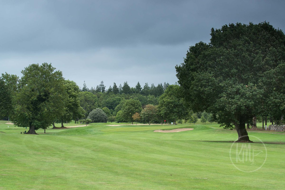 kevinmarkham's tweet photo. Review 3 @portumnagc Such parkland elegance is captivating. Lost in deep forest, lone oak trees stride through the heart of an old estate (as do deer) creating an almost regal rhythm. With plenty of movement this is a big game course with loads of variety and some tricky greens https://t.co/ag5sDW1wp8